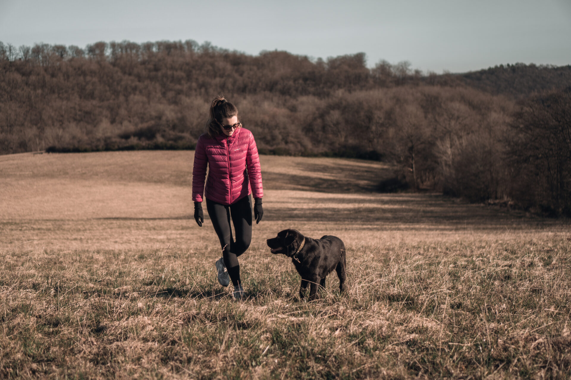 Hiking with a dog in Eifel