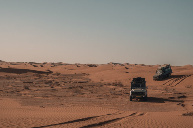 driving through the sahara