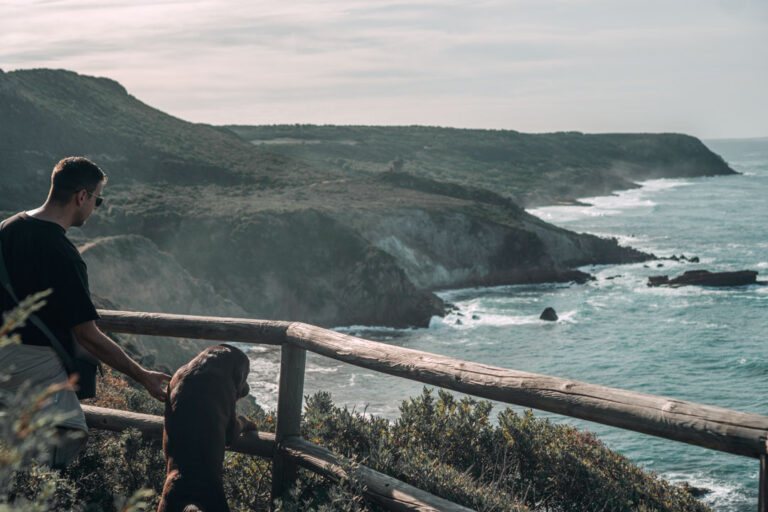 man and dog at a view point looking at the sea
